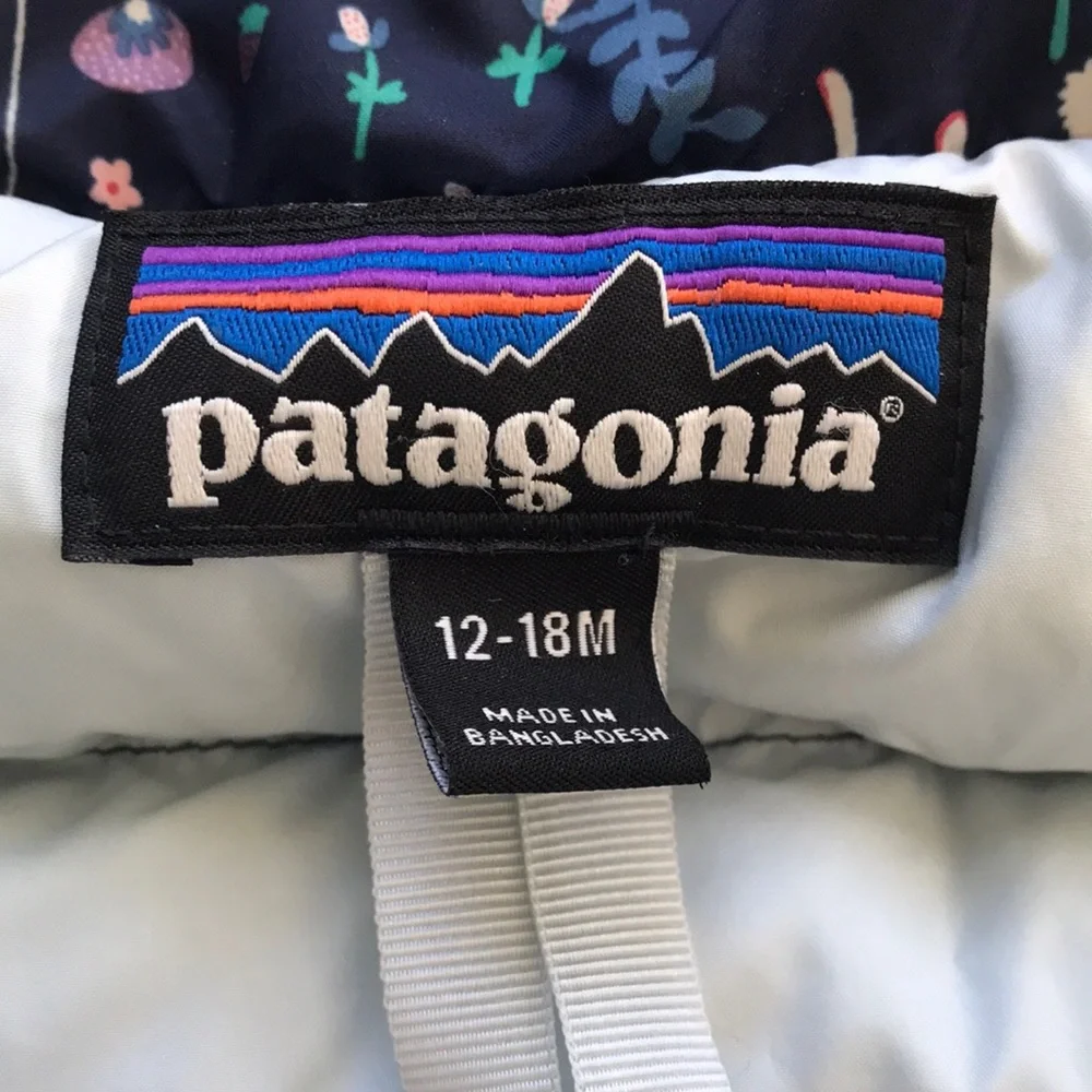 Patagonia Puffer Jacket (size 12-18m)